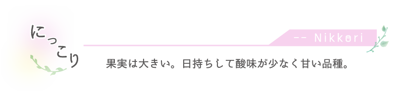にっこり梨