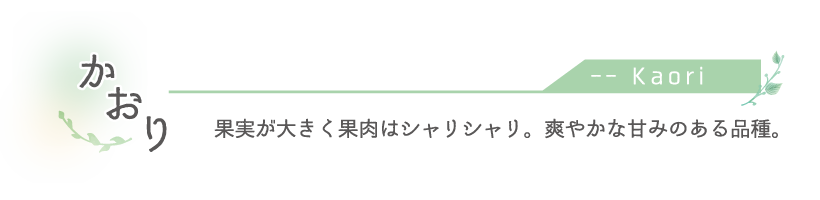 かおり梨
